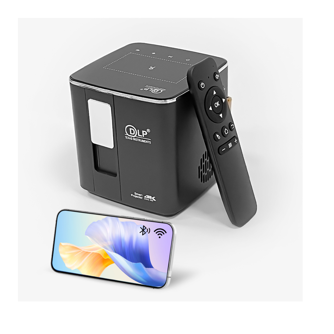 P12 DLP Projector