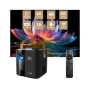 P12 DLP Projector