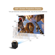 P12 DLP Projector